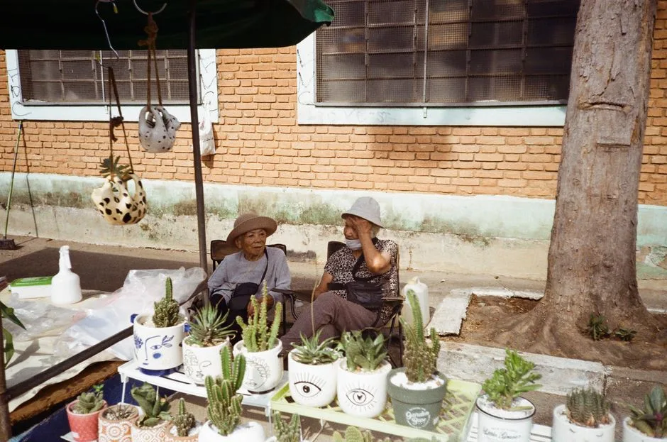A vendor stall at a market is filled with various potted plants and flowers for sale.